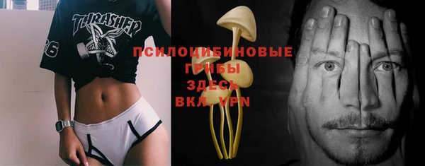 шишки Пестово