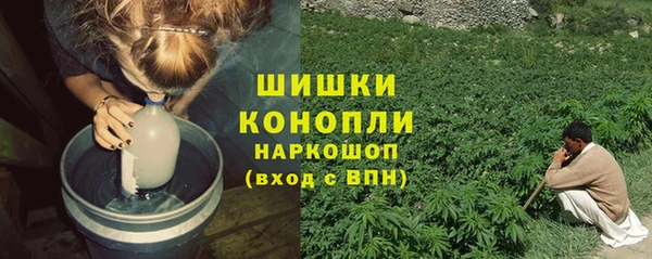 шишки Пестово